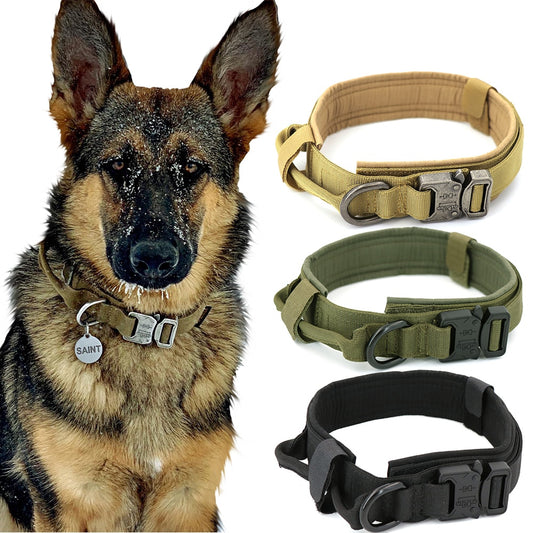 Hondenhalsband