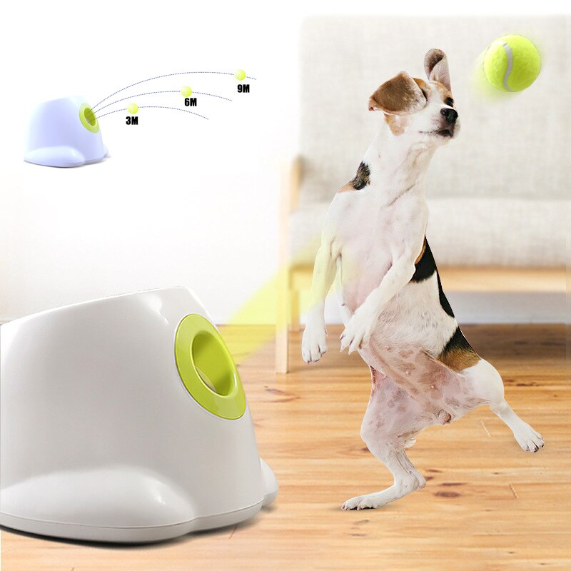 Honden tennisbalwerper