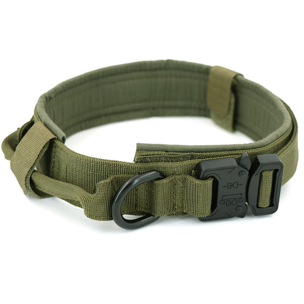 Hondenhalsband