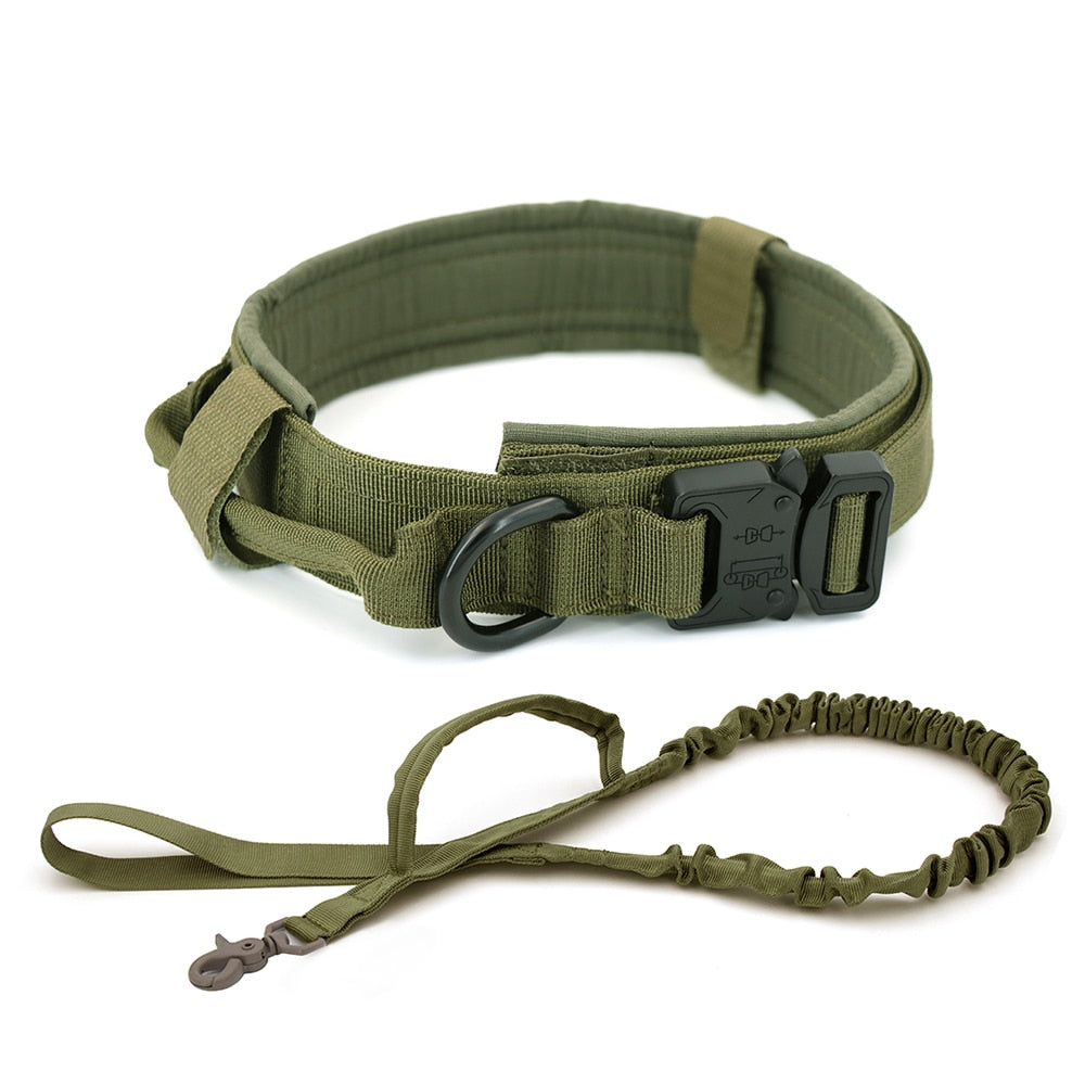 Hondenhalsband