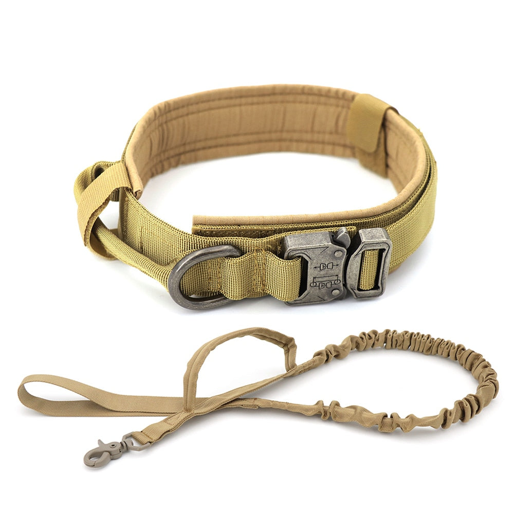 Hondenhalsband