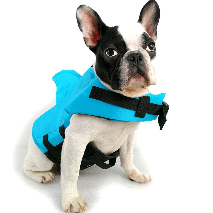 Zwemvest voor honden